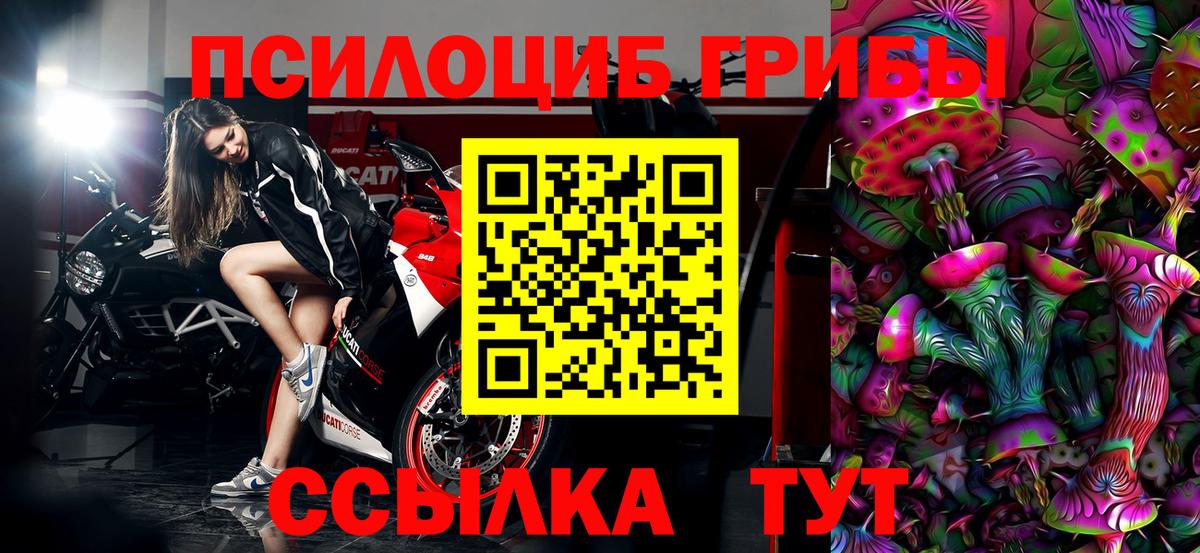 Псилоцибиновые грибы мухоморы Псков