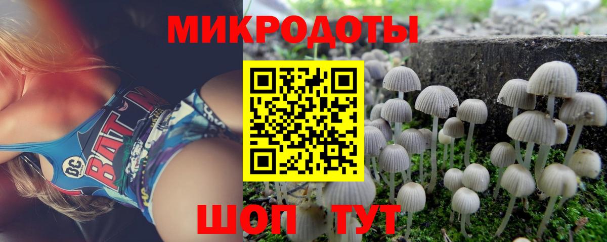 Галлюциногенные грибы MAGIC MUSHROOMS  Вход с VPN  Псков 